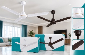 Ceiling fun
