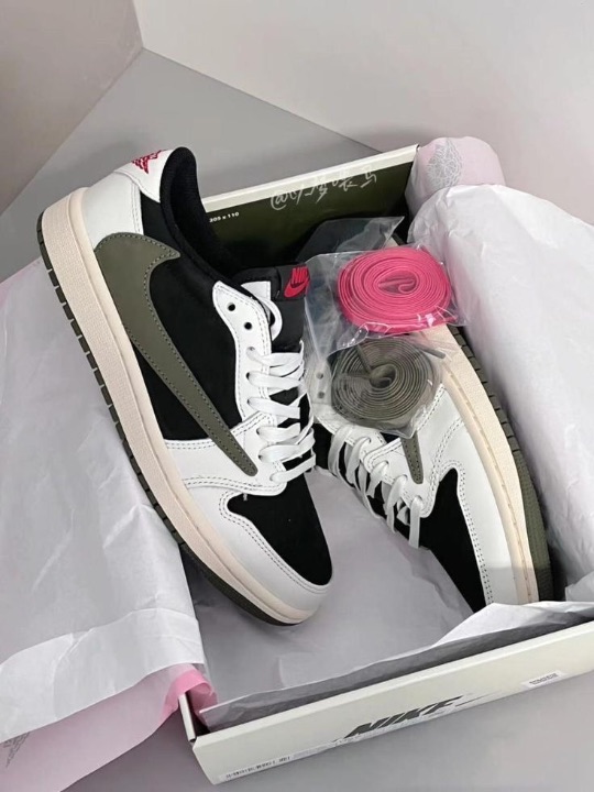 JORDAN 1 CACTUS